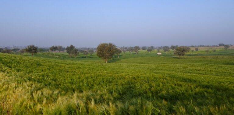 The Role of Political Campaign Strategists in Influencing Election Outcomes