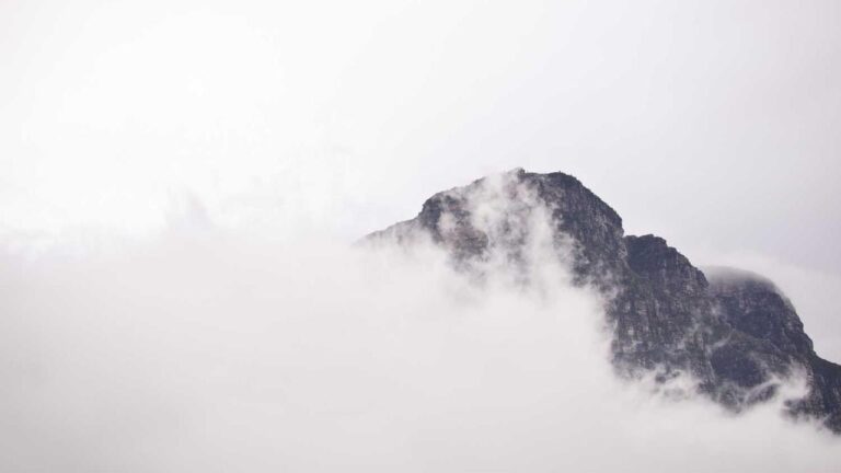 How To Get 11Xplay Reddy Anna Download File?